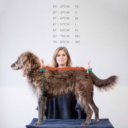 Siccaro Smart Zinfandel red 55 cm